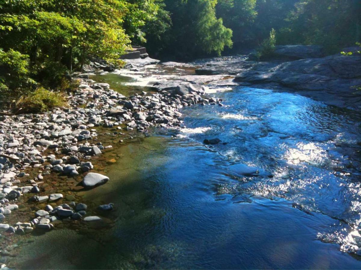 Play All Day - Sleep By The Stream At Night - Swimming Hole Palenville Екстериор снимка